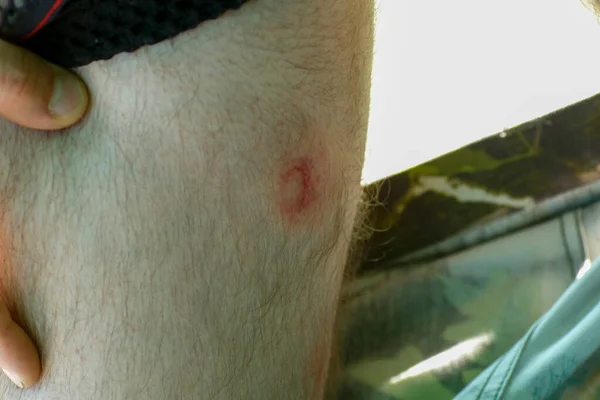 боляче чи грати в пейнтбол Western Київ